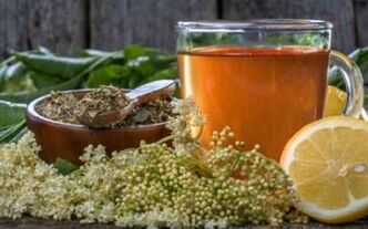 Comment se débarrasser des parasites dans le corps avec des remèdes populaires